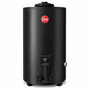 Termotanque Rheem A Gas Natural De Pie 80L TGNP080RH